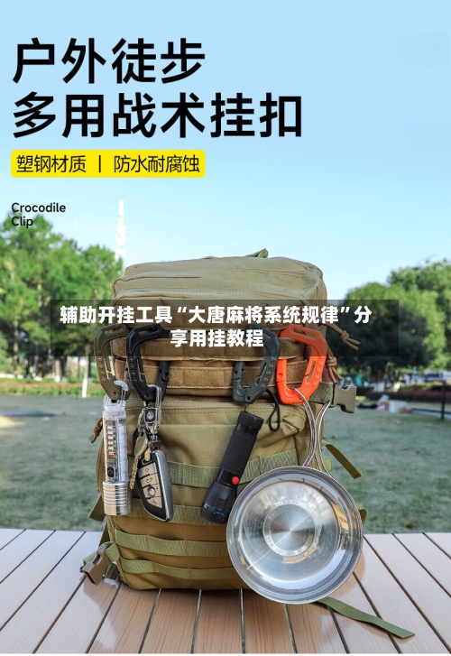 辅助开挂工具“大唐麻将系统规律”分享用挂教程-第1张图片