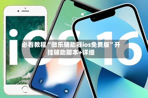 必看教程“微乐辅助器ios免费版”开挂辅助脚本+详细-第1张图片