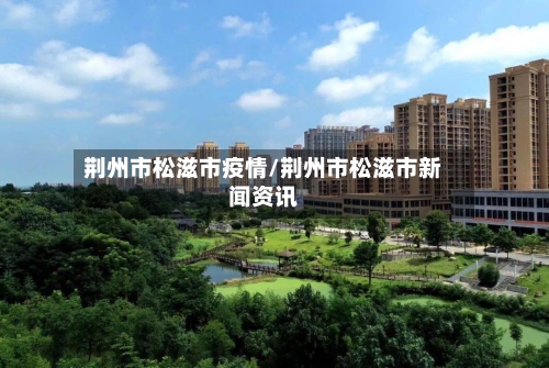 荆州市松滋市疫情/荆州市松滋市新闻资讯-第3张图片