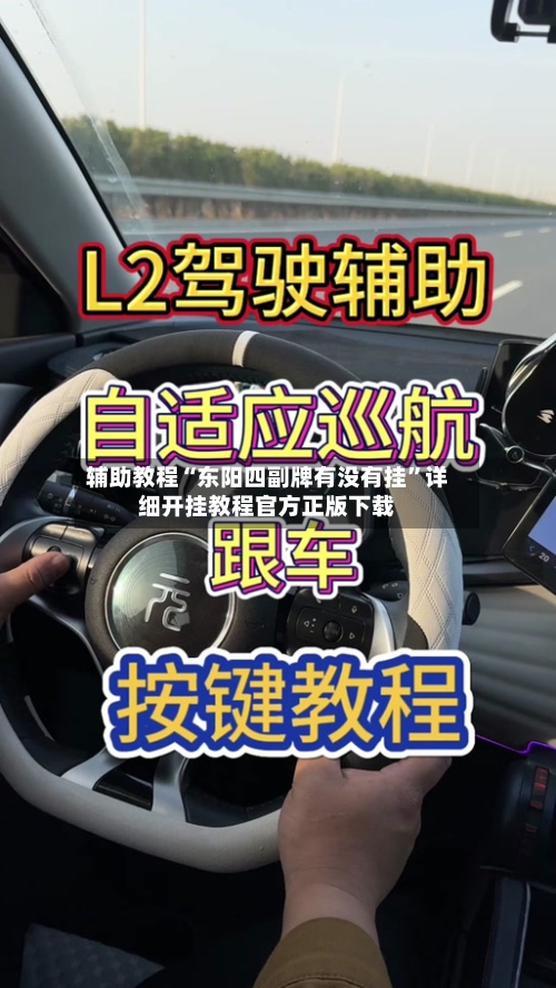 辅助教程“东阳四副牌有没有挂”详细开挂教程官方正版下载-第3张图片