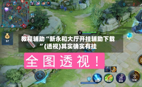 教程辅助“新永和大厅开挂辅助下载”(透视)其实确实有挂-第1张图片