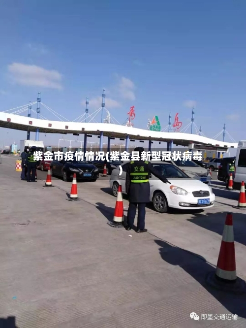 紫金市疫情情况(紫金县新型冠状病毒)-第3张图片