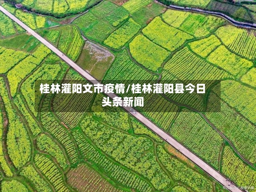 桂林灌阳文市疫情/桂林灌阳县今日头条新闻-第1张图片