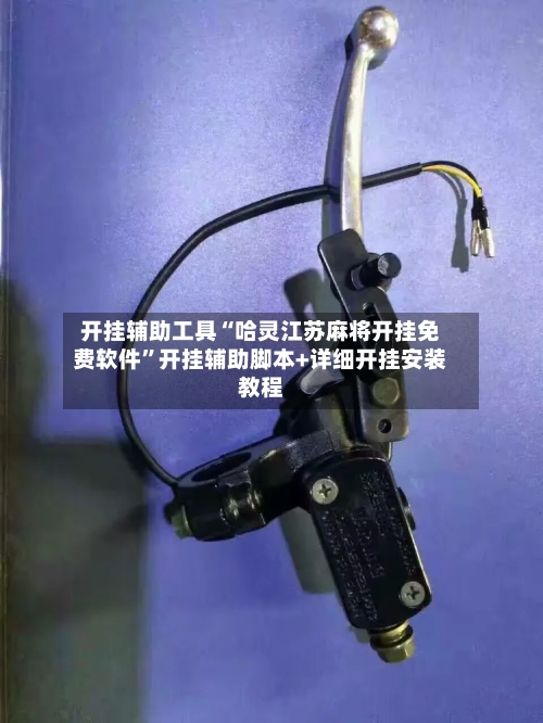 开挂辅助工具“哈灵江苏麻将开挂免费软件	”开挂辅助脚本+详细开挂安装教程-第1张图片