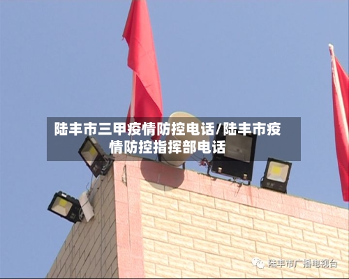 陆丰市三甲疫情防控电话/陆丰市疫情防控指挥部电话-第1张图片