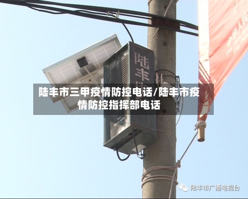 陆丰市三甲疫情防控电话/陆丰市疫情防控指挥部电话-第2张图片