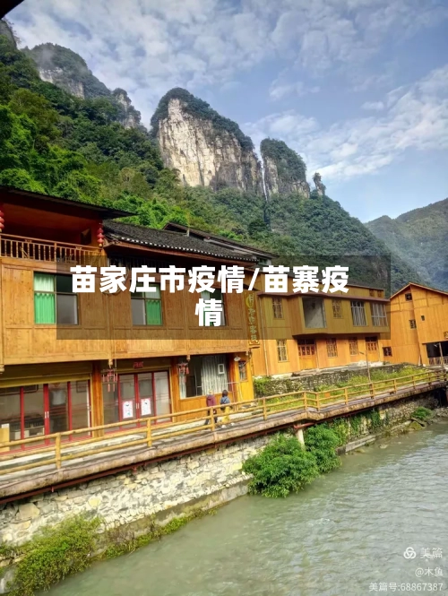 苗家庄市疫情/苗寨疫情-第1张图片