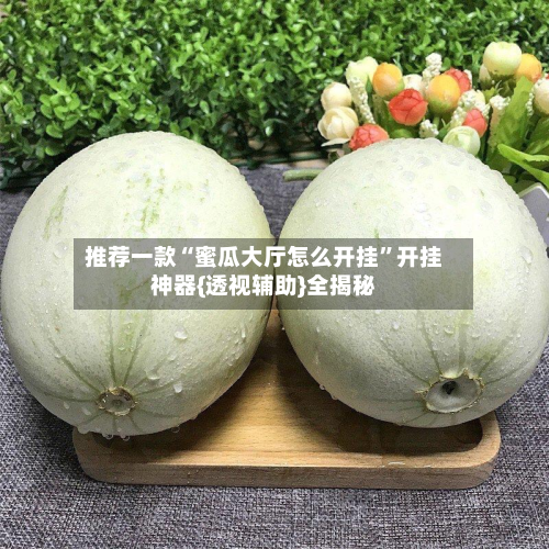 推荐一款“蜜瓜大厅怎么开挂”开挂神器{透视辅助}全揭秘-第3张图片