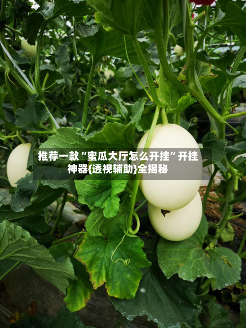 推荐一款“蜜瓜大厅怎么开挂”开挂神器{透视辅助}全揭秘-第1张图片