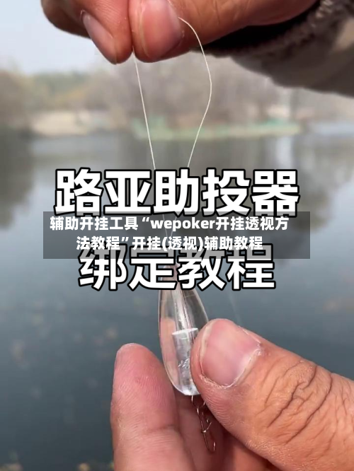 辅助开挂工具“wepoker开挂透视方法教程	”开挂(透视)辅助教程-第2张图片