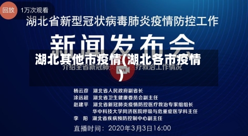 湖北其他市疫情(湖北各市疫情)-第3张图片