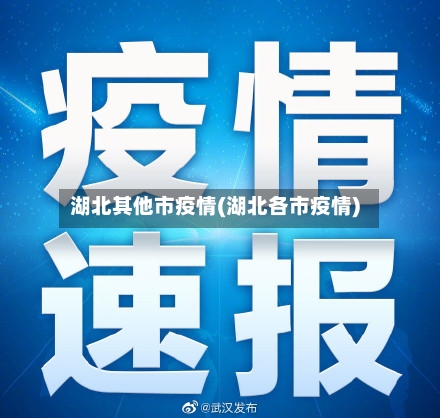 湖北其他市疫情(湖北各市疫情)-第1张图片