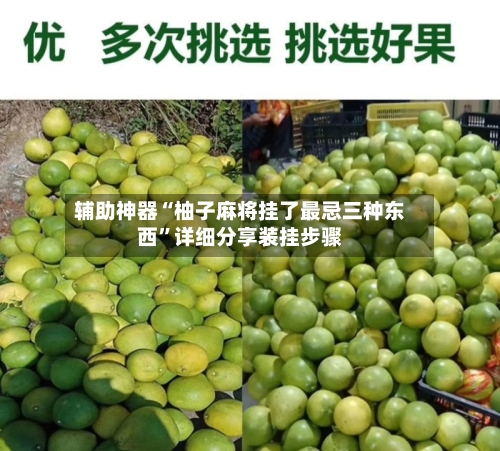辅助神器“柚子麻将挂了最忌三种东西”详细分享装挂步骤-第2张图片
