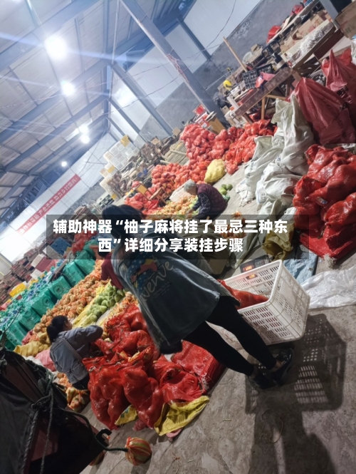 辅助神器“柚子麻将挂了最忌三种东西”详细分享装挂步骤-第3张图片