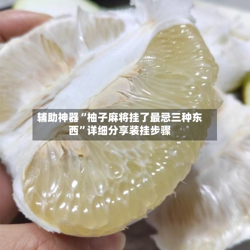 辅助神器“柚子麻将挂了最忌三种东西	”详细分享装挂步骤-第1张图片