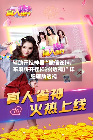 辅助开挂神器“微信雀神广东麻将开挂神器(透视)	”详细辅助透视-第2张图片