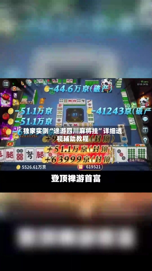 独家实测“途游四川麻将挂”详细透视辅助教程-第2张图片
