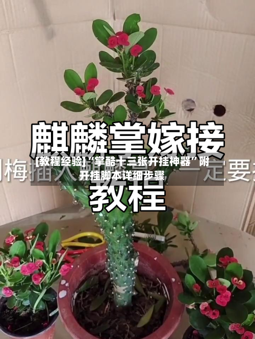 [教程经验]“掌酷十三张开挂神器”附开挂脚本详细步骤-第1张图片