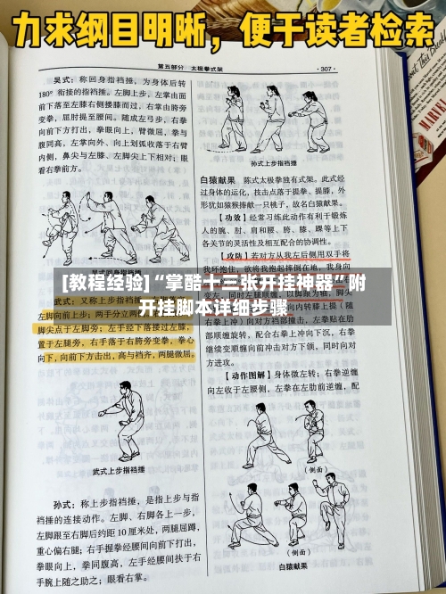 [教程经验]“掌酷十三张开挂神器	”附开挂脚本详细步骤-第2张图片