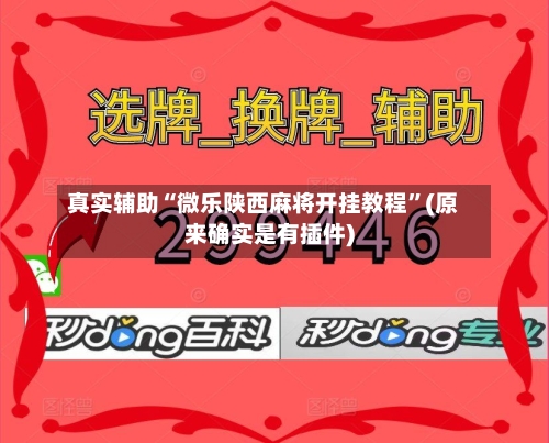 真实辅助“微乐陕西麻将开挂教程”(原来确实是有插件)-第2张图片