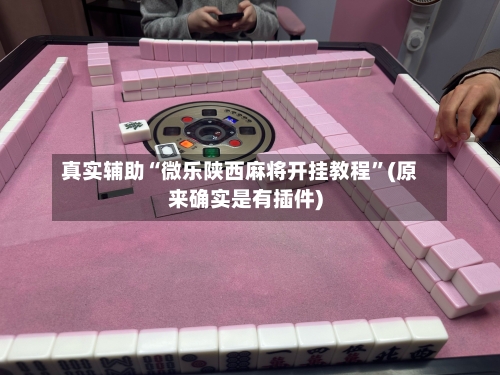 真实辅助“微乐陕西麻将开挂教程	”(原来确实是有插件)-第1张图片