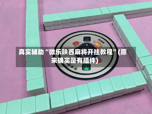 真实辅助“微乐陕西麻将开挂教程”(原来确实是有插件)-第3张图片