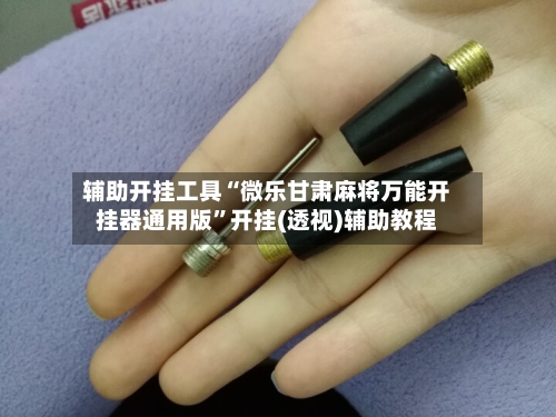 辅助开挂工具“微乐甘肃麻将万能开挂器通用版”开挂(透视)辅助教程-第1张图片
