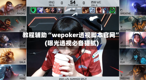 教程辅助“wepoker透视脚本官网”(曝光透视必备猫腻)-第1张图片