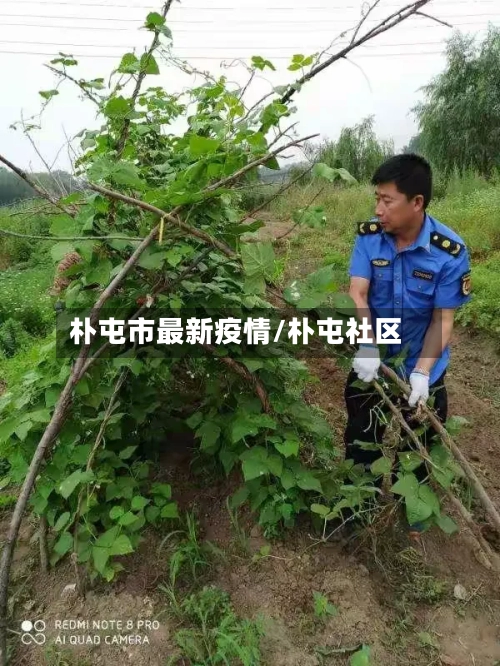 朴屯市最新疫情/朴屯社区-第1张图片