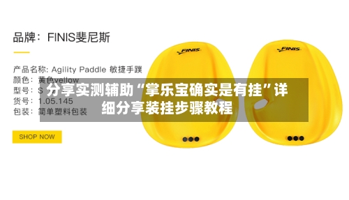分享实测辅助“掌乐宝确实是有挂”详细分享装挂步骤教程-第1张图片