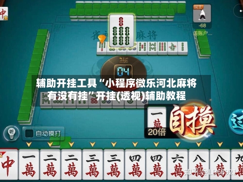辅助开挂工具“小程序微乐河北麻将有没有挂”开挂(透视)辅助教程-第1张图片