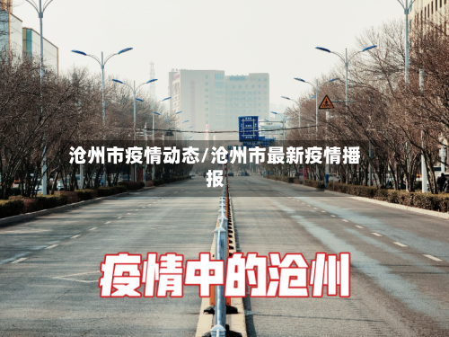 沧州市疫情动态/沧州市最新疫情播报-第2张图片