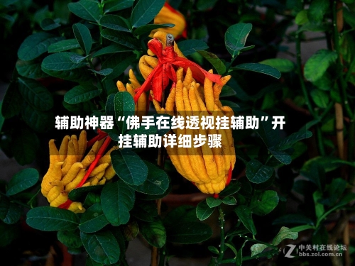 辅助神器“佛手在线透视挂辅助	”开挂辅助详细步骤-第1张图片