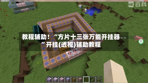 教程辅助！“方片十三张万能开挂器”开挂(透视)辅助教程-第1张图片