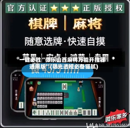 一键必胜“微乐山西麻将万能开挂器通用版”(曝光透视必备猫腻)-第3张图片