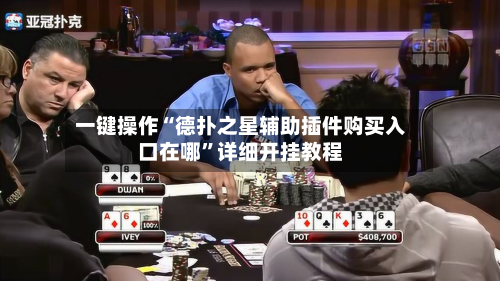 一键操作“德扑之星辅助插件购买入口在哪”详细开挂教程-第3张图片