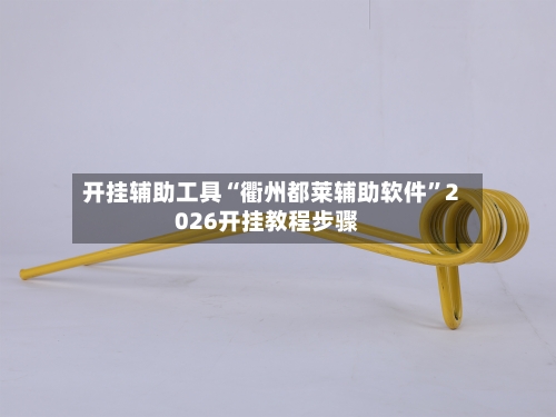开挂辅助工具“衢州都莱辅助软件	”2026开挂教程步骤-第1张图片