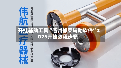 开挂辅助工具“衢州都莱辅助软件”2026开挂教程步骤-第3张图片