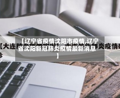 【辽宁省疫情沈阳市疫情,辽宁省沈阳新冠肺炎疫情最新消息】-第3张图片