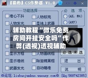 辅助教程“微乐免费房间开挂安全吗	”作弊(透视)透视辅助-第1张图片
