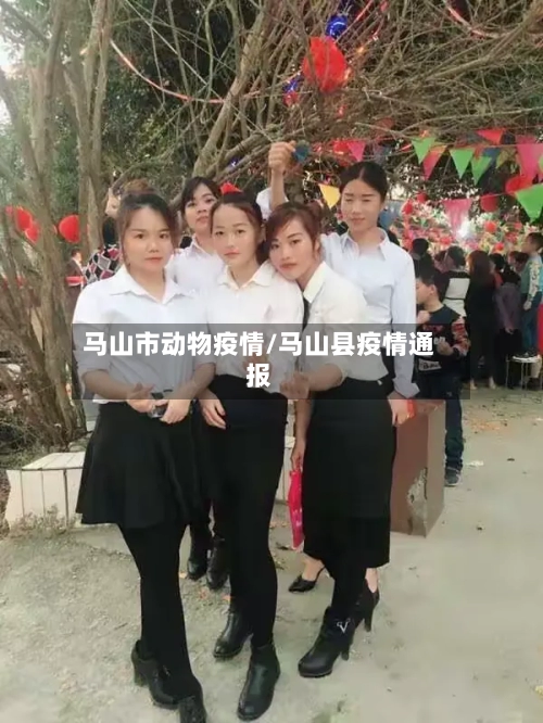 马山市动物疫情/马山县疫情通报-第2张图片