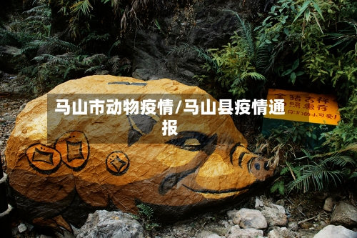 马山市动物疫情/马山县疫情通报-第1张图片