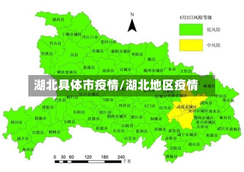 湖北具体市疫情/湖北地区疫情-第2张图片