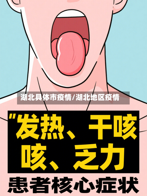 湖北具体市疫情/湖北地区疫情-第1张图片
