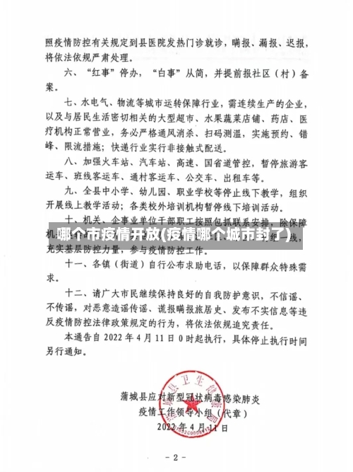 哪个市疫情开放(疫情哪个城市封了)-第1张图片
