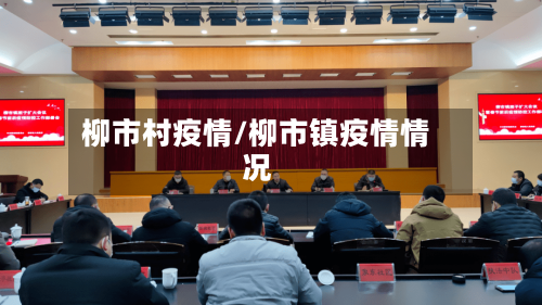 柳市村疫情/柳市镇疫情情况-第1张图片