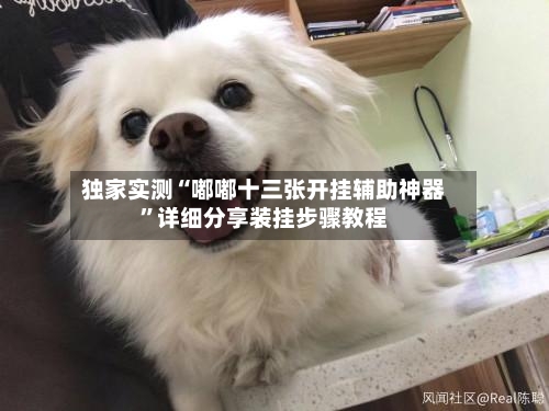 独家实测“嘟嘟十三张开挂辅助神器	”详细分享装挂步骤教程-第3张图片