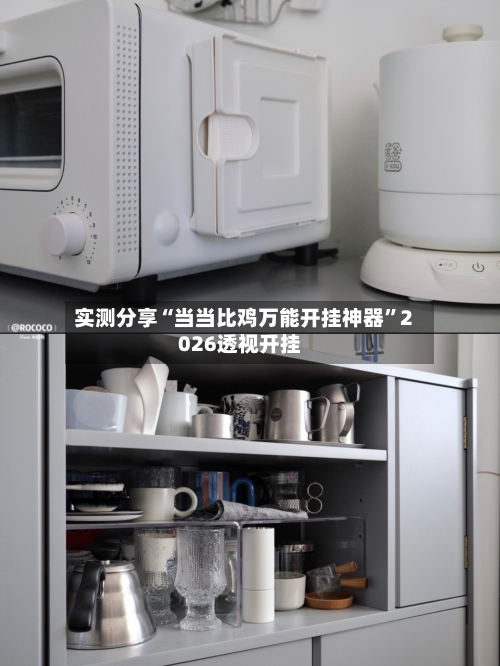 实测分享“当当比鸡万能开挂神器”2026透视开挂-第2张图片