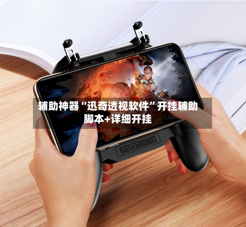 辅助神器“迅奇透视软件”开挂辅助脚本+详细开挂-第2张图片