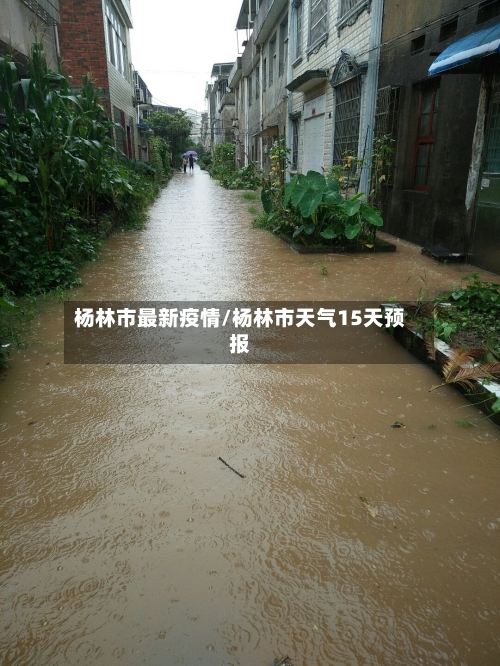 杨林市最新疫情/杨林市天气15天预报-第1张图片